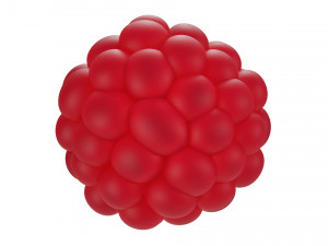 Raspberry collection 3D Model