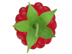 Raspberry collection 3D Model