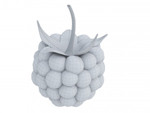 Raspberry collection 3D Model
