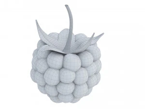 Raspberry collection 3D Model