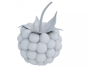 Raspberry collection 3D Model