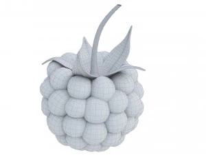 Raspberry collection 3D Model