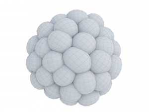 Raspberry collection 3D Model