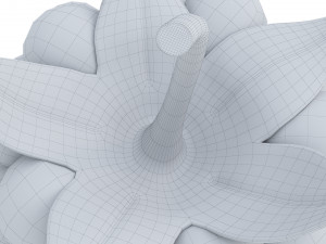 Raspberry collection 3D Model