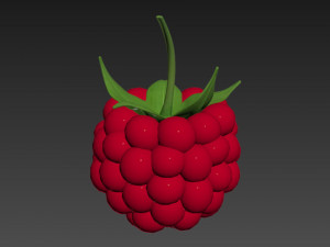 Raspberry collection 3D Model