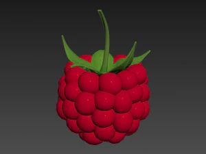 Raspberry collection 3D Model
