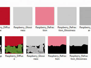 Raspberry collection 3D Model