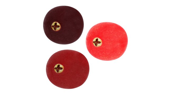 Cranberries 3D Модель .c4d .max .obj .3ds .fbx .stl .blend 