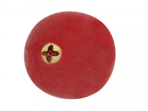 Cranberries 3D Model