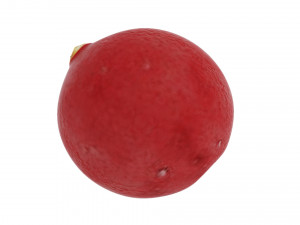 Cranberries 3D Модель