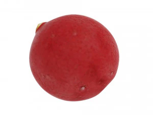 Cranberries 3D Model