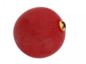 Cranberries 3D Model