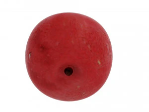Cranberries 3D Model