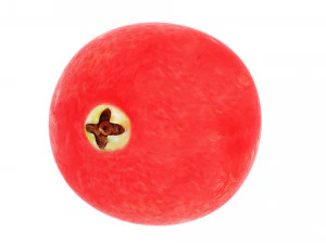 Cranberries 3D Model