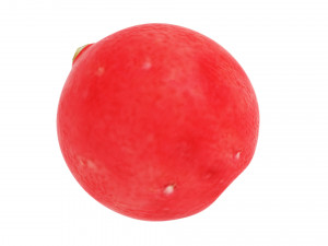 Cranberries 3D Модель