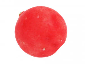 Cranberries 3D Model
