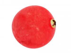 Cranberries 3D Model