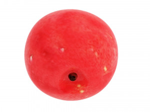Cranberries 3D Модель