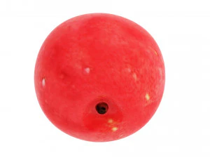 Cranberries 3D Model