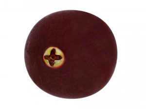 Cranberries 3D Model