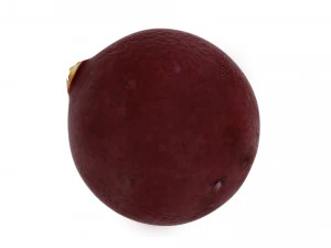 Cranberries 3D Model