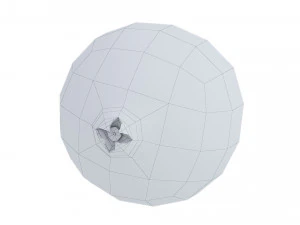 Cranberries 3D Model