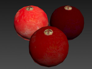 Cranberries 3D Модель