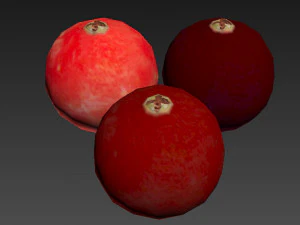 Cranberries 3D Model