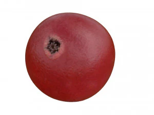 Ягода красной смородины 3D Модель