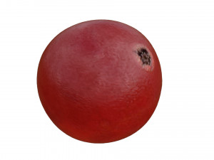Red currant berry 3Dモデル