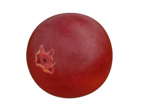 Red currant berry 3D Model
