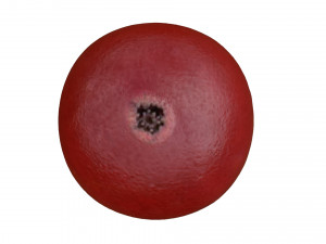 Red currant berry 3Dモデル