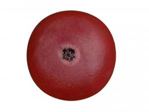 Red currant berry 3D Model