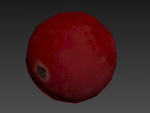 Red currant berry 3D Model