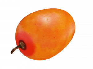 Sea-buckthorn berry 3D Model