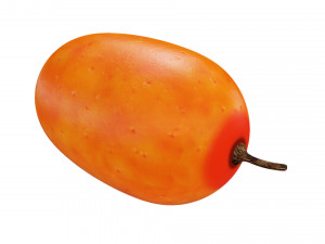 Sea-buckthorn berry 3D Model