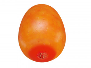 Sea-buckthorn berry 3D Model