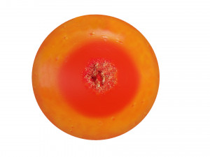 Sea-buckthorn berry 3D Model