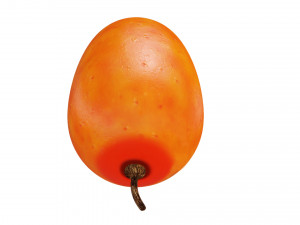 Sea-buckthorn berry 3D Model