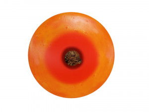 Sea-buckthorn berry 3D Model