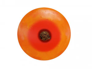 Sea-buckthorn berry 3D Model