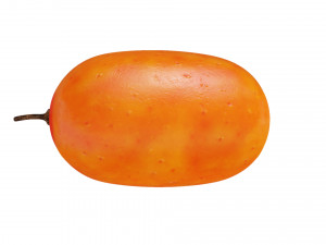 Sea-buckthorn berry 3D Model