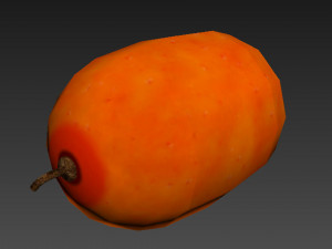 Sea-buckthorn berry 3D Model