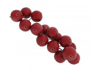 Red currant branch Model 3D