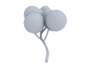 Red currant branch Model 3D