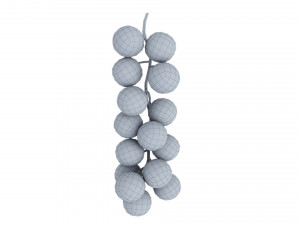 Red currant branch Model 3D