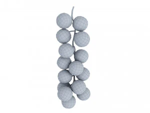 Red currant branch 3D Model