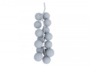 Red currant branch Model 3D