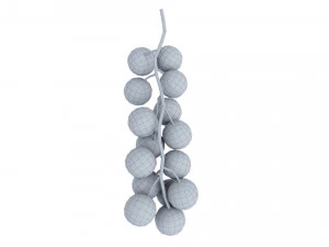 Red currant branch 3D Model