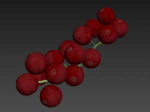 Red currant branch Model 3D